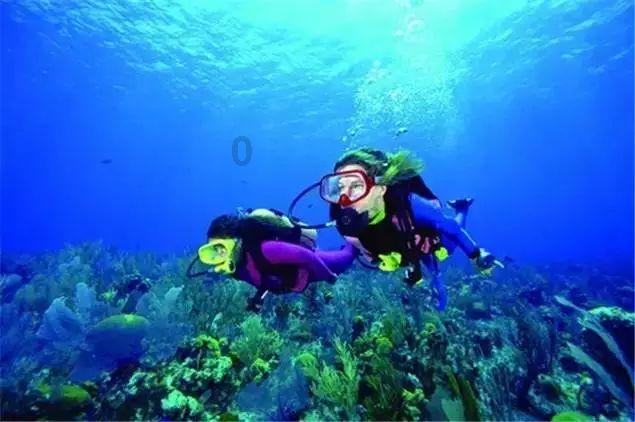 深海鱼救援